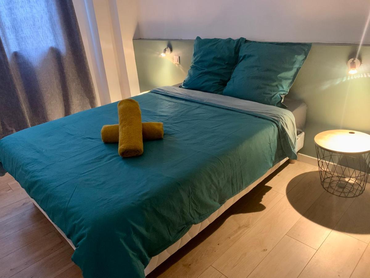 Spacieux Appartement Lumineux Coeur De Ville 帕米耶 外观 照片