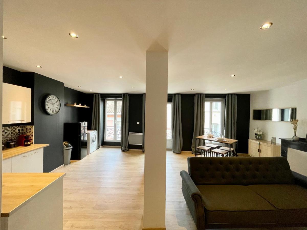 Spacieux Appartement Lumineux Coeur De Ville 帕米耶 外观 照片
