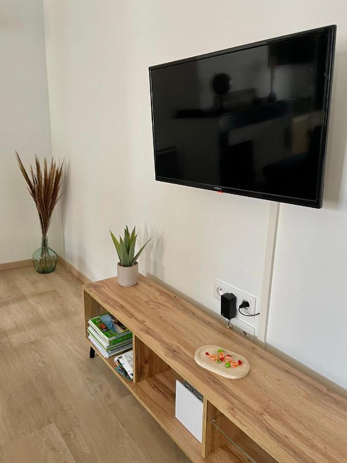 Spacieux Appartement Lumineux Coeur De Ville 帕米耶 外观 照片